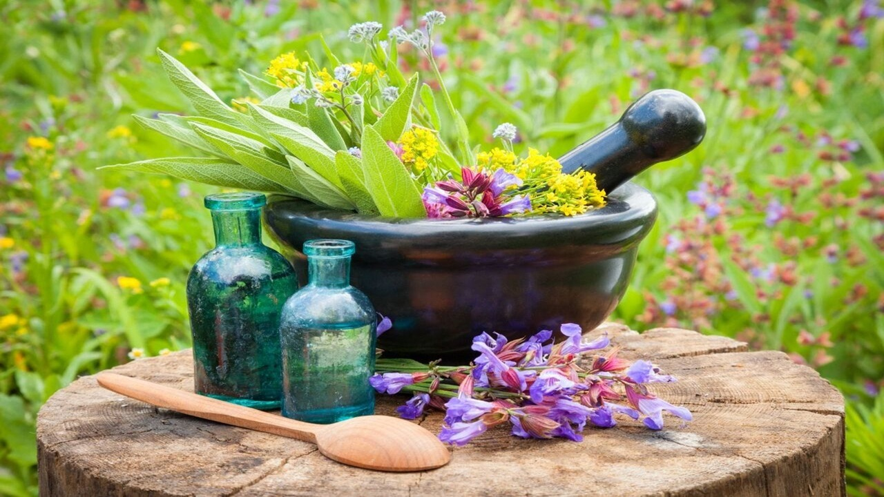 طب ایرانی؛ الگوی جهانی برای پزشکی آیندهمحور