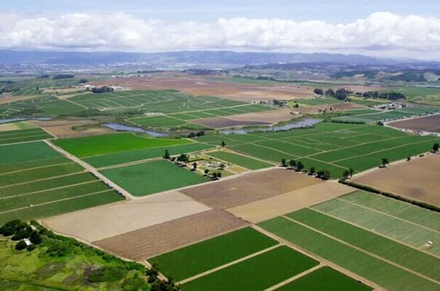 زمین‌های مرغوب کشاورزی به طرح هادی روستایی اختصاص نیابد