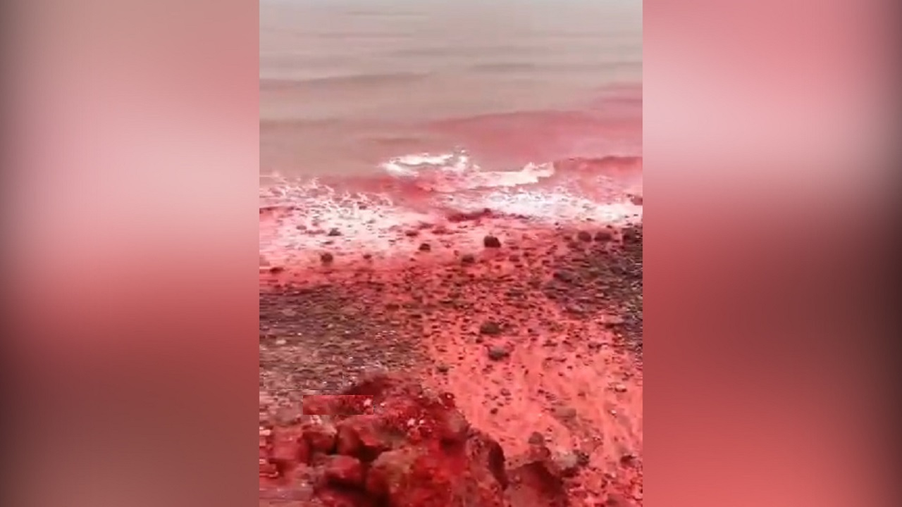 قرمز شدن آب دریا با بارش باران در جزیره هرمز + فیلم