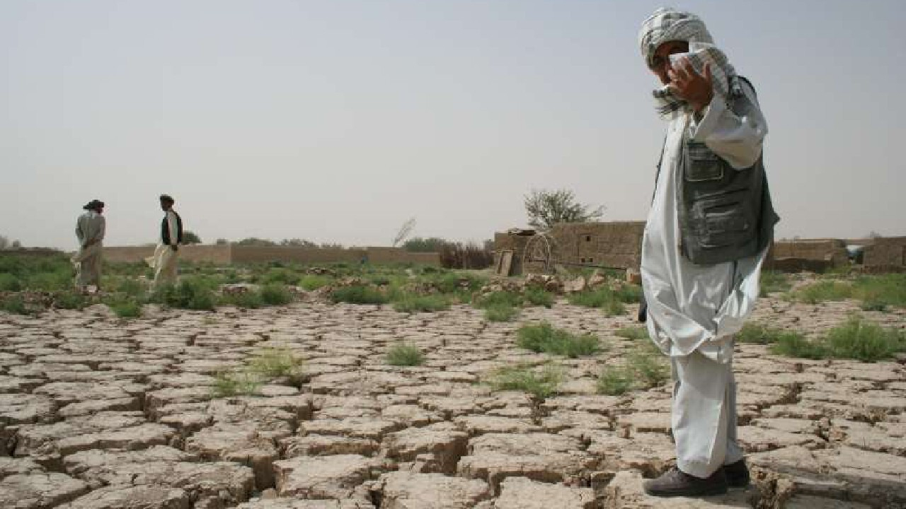 تشدید خشکسالی در افغانستان؛ فائو هشدار داد