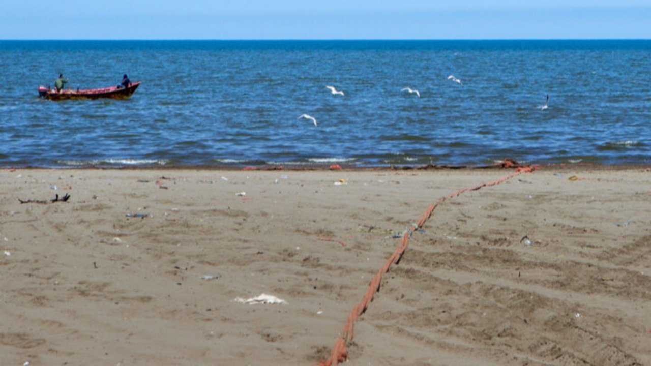 تراز آب خزر از ۵ سال پیش تاکنون یک متر کمتر شده است + فیلم