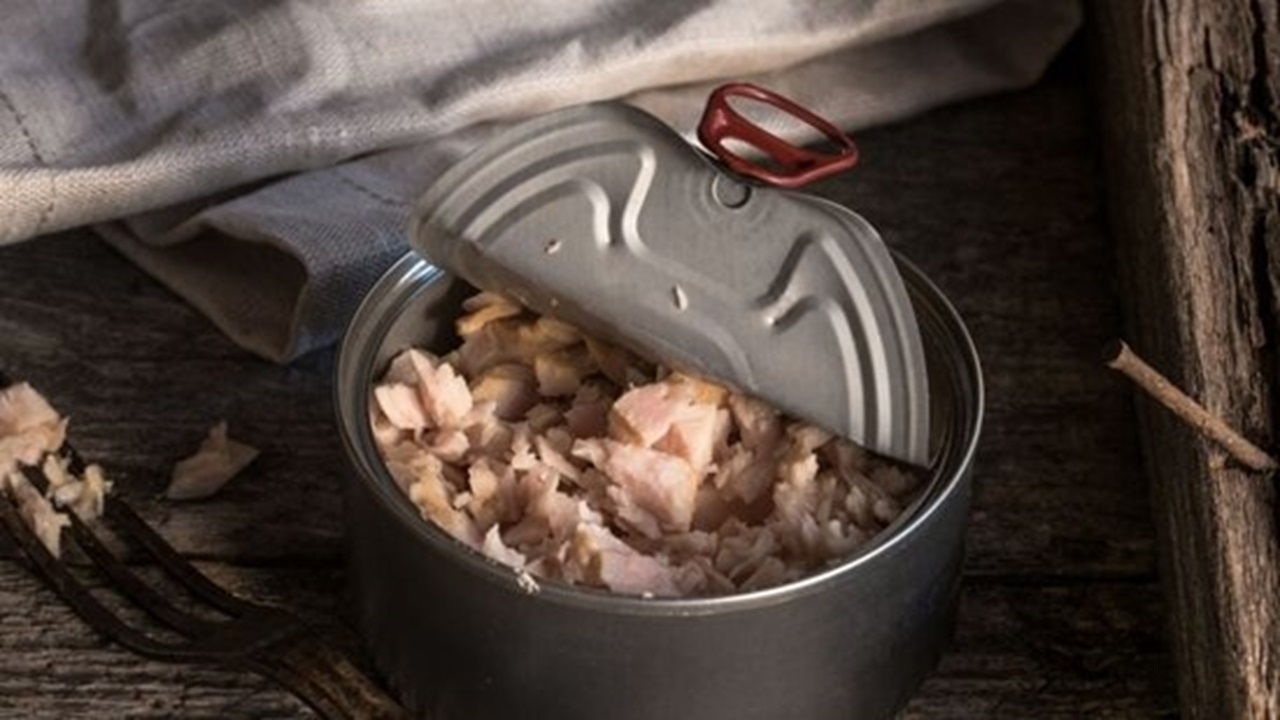 آیا خوردن روزانه ماهی تُن بی‌خطر است؟