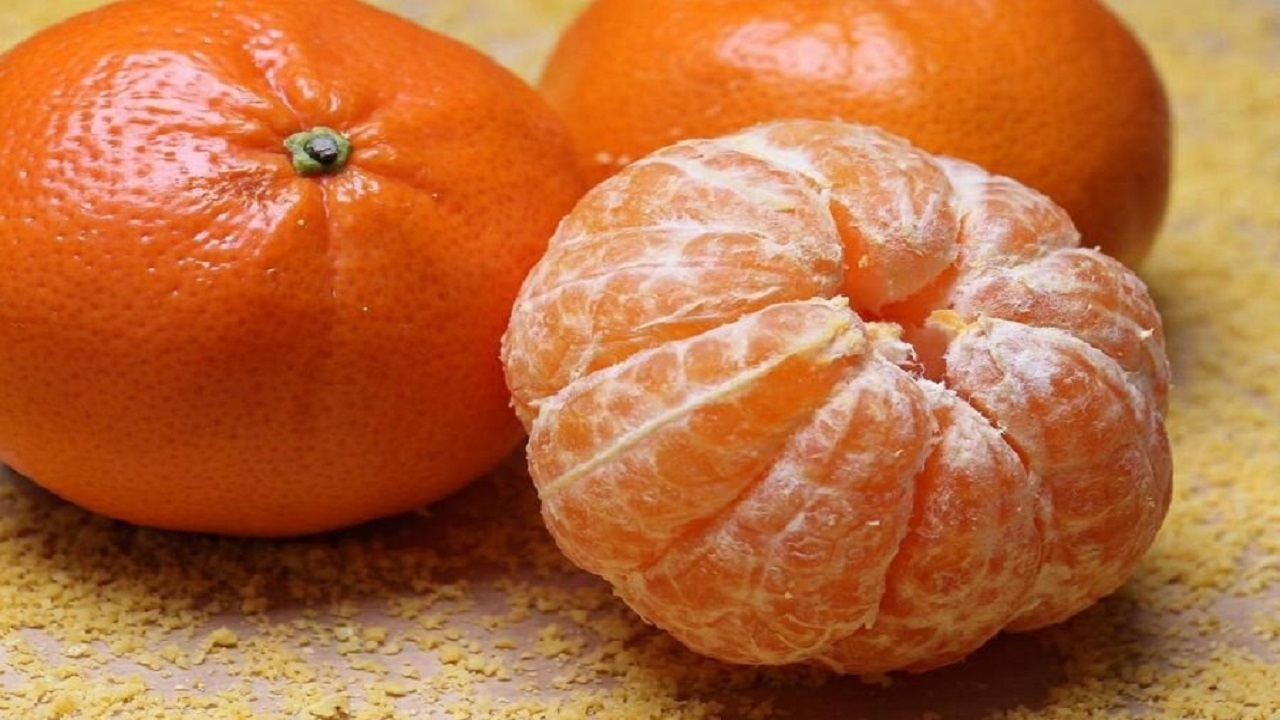 میوه کوچکی که علاج چند بیماری است