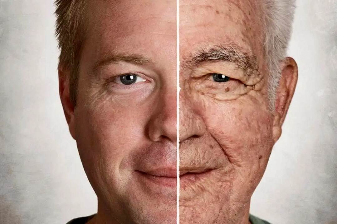 یک ماده مغذی کلیدی برای داشتن پیری سالم