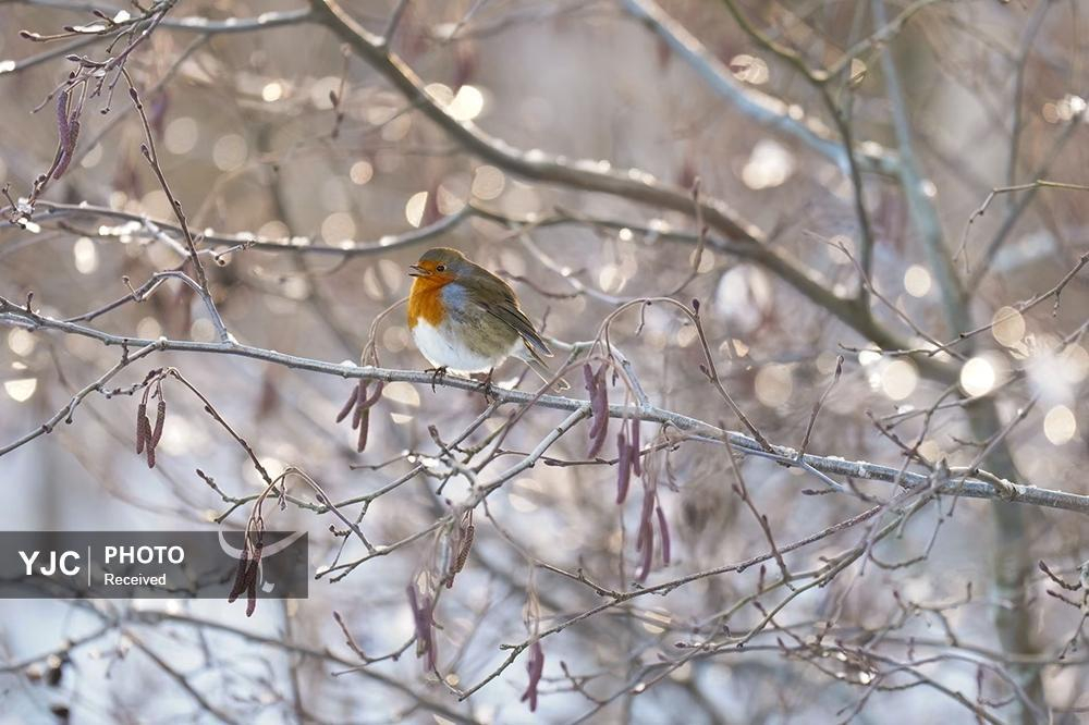 عکس‌های منتخب خبری جهان / ۴ آذر ۱۴۰۴