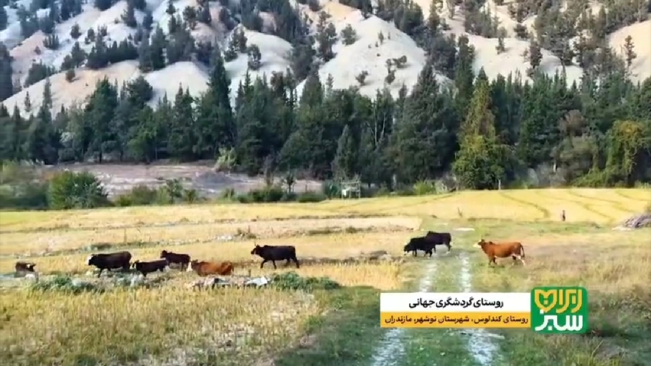 نگین سبز مازندران در فهرست جهانی گردشگری + فیلم