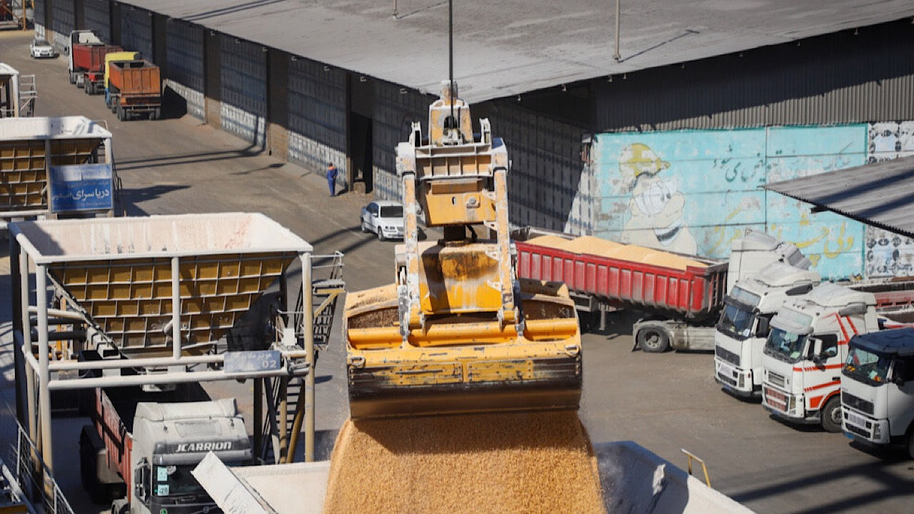 ذخایر فعلی نهاده‌های دامی بالاتر از نیاز ماهانه کشور است