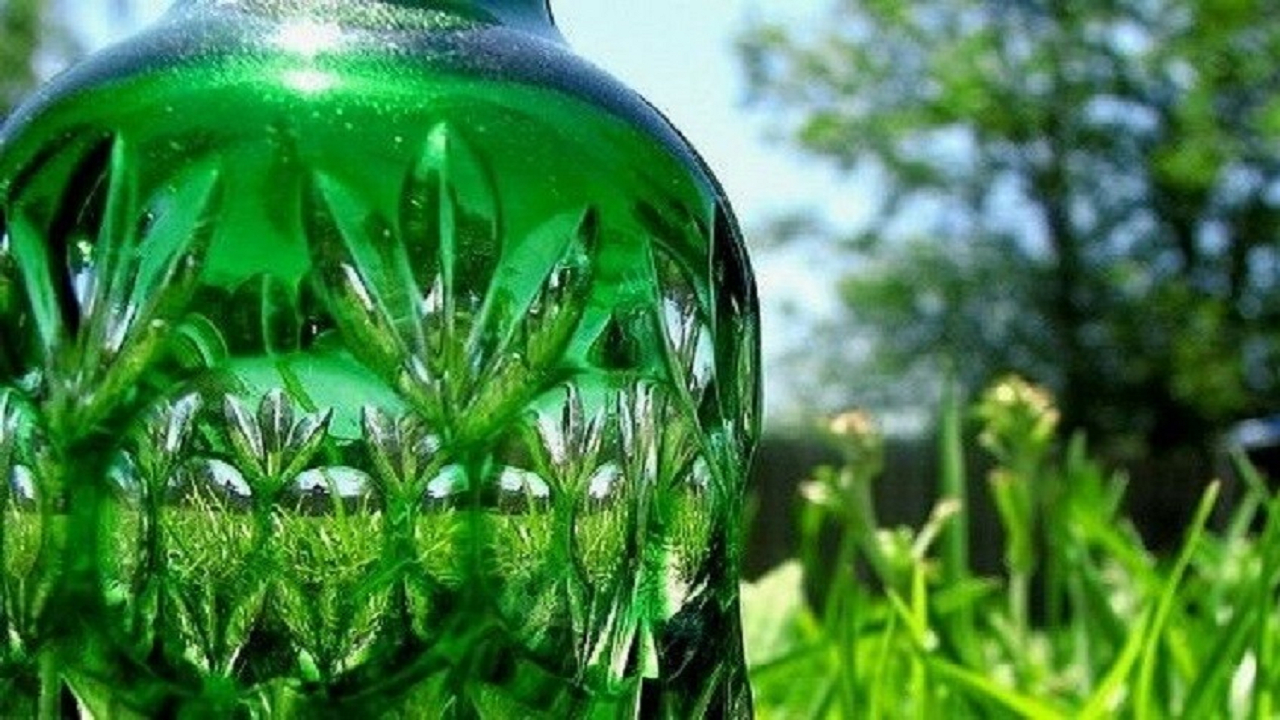 ابداع یک فناوری که راه را برای آیندهای بدون پلاستیک هموار میکند