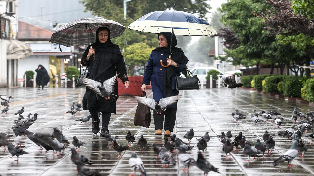 بارش باران در نوار شمالی کشور