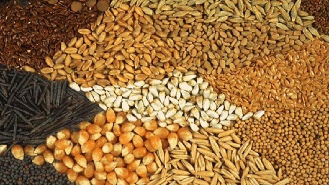 سقف جدید نرخ ارز نهاده‌های دام و طیور اعلام شد