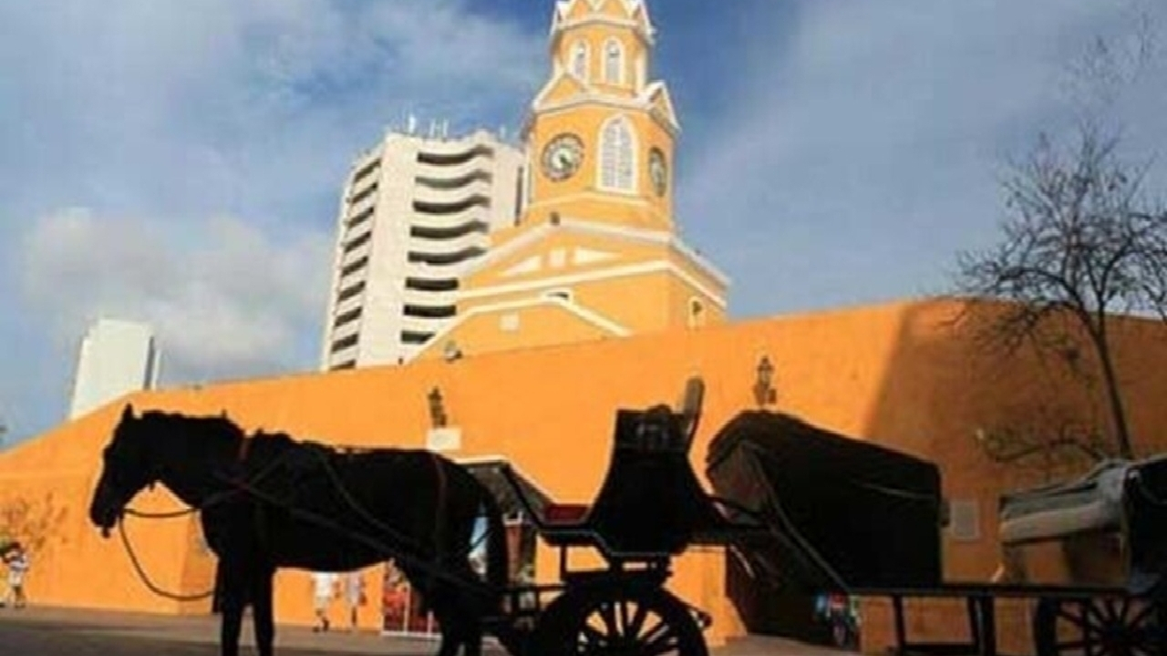 درشکه‌سواری در کارتاخنای کلمبیا ممنوع شد + فیلم