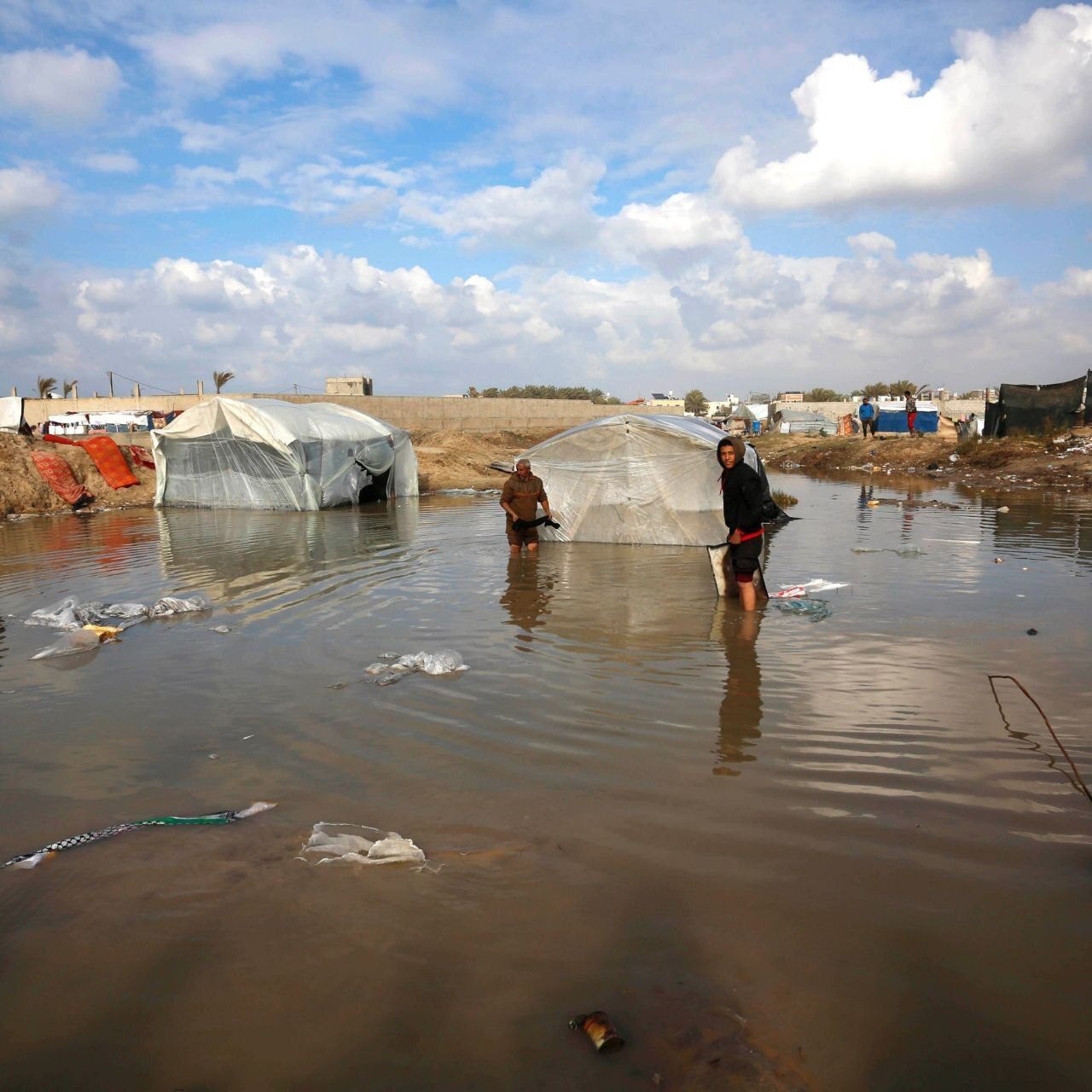 شورای امنیت درباره طرح صلح آمریکا برای غزه رأیگیری میکند