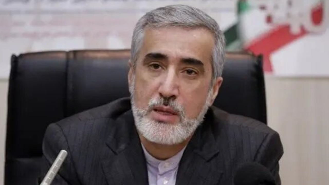 پیرصالحی: قرار بود تیتک به ادعا‌های مافیای دارو پایان دهد