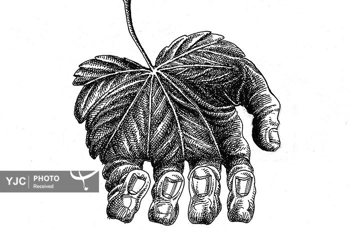 کاریکاتور روز / معرفی کارتونیست‌های جهان؛ نگاهی به آثار سید محسن نوری نجفی