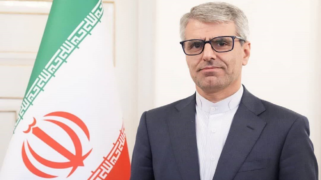 تمجید سخنگوی وزارت امور خارجه از اقدام ارکستر سمفونیک تهران