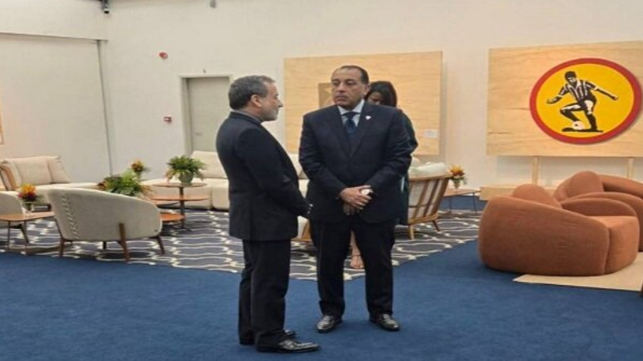 دیدار عراقچی با وزیر خارجه هند و نخستوزیران مصر و چین