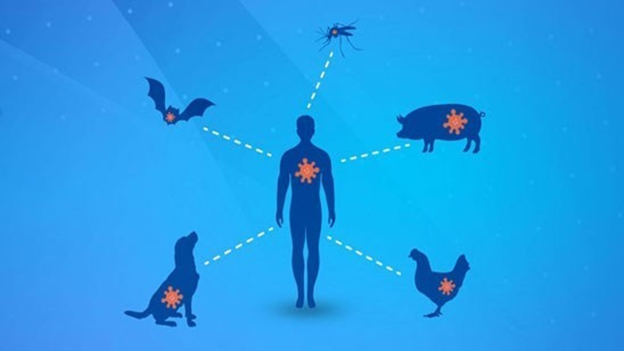 سه‌چهارم عفونت‌های نوظهور انسانی ریشه حیوانی دارند