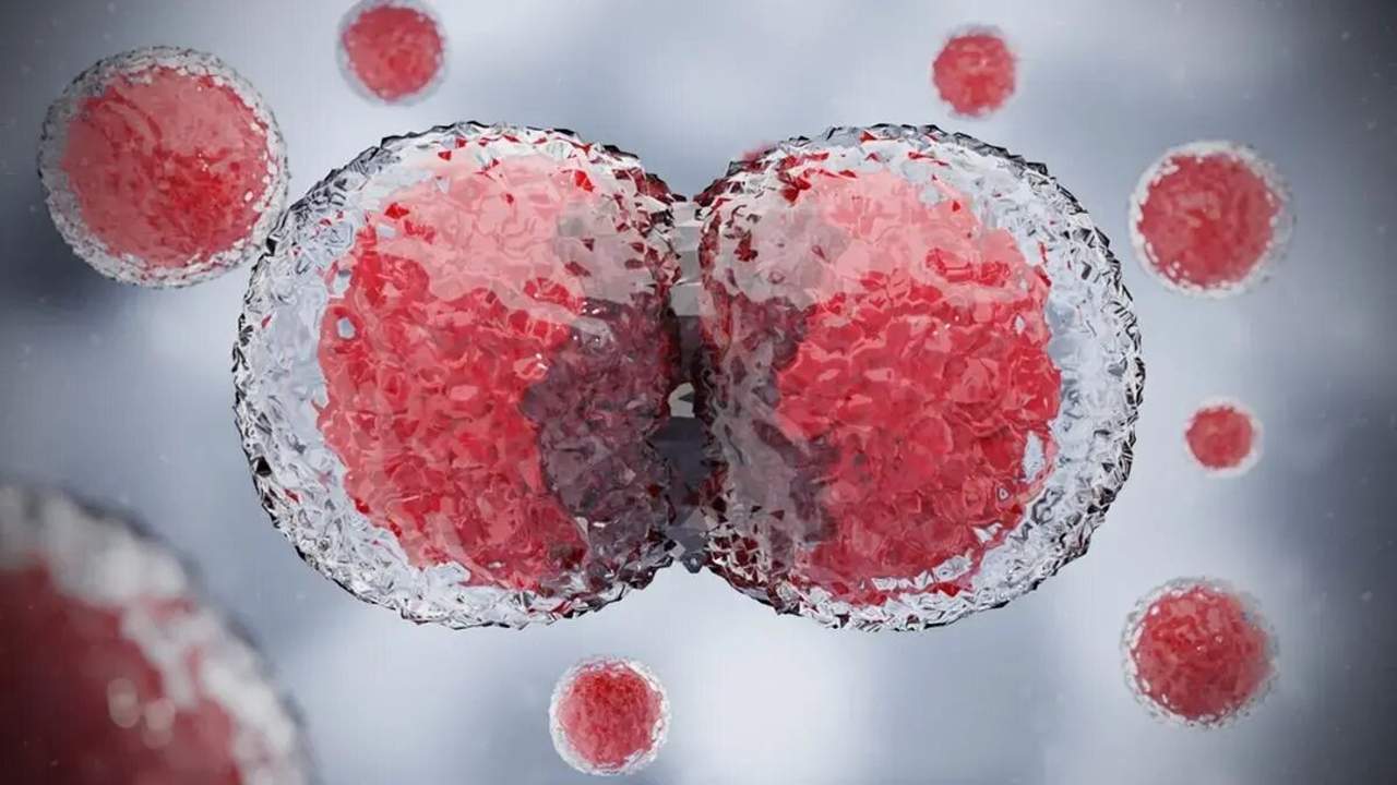 سلولها از کجا میدانند که مربوط به کدام عضو بدن هستند؟