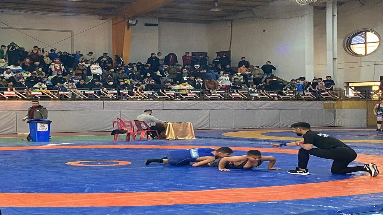 برگزاری جشنواره بزرگ کشتی پایتخت