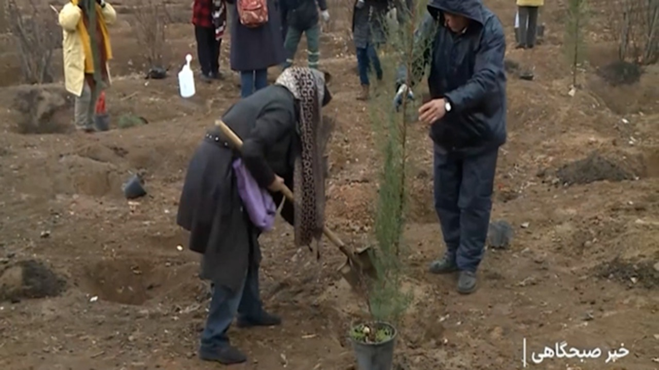 پویش درختکاری به یاد پدر + فیلم