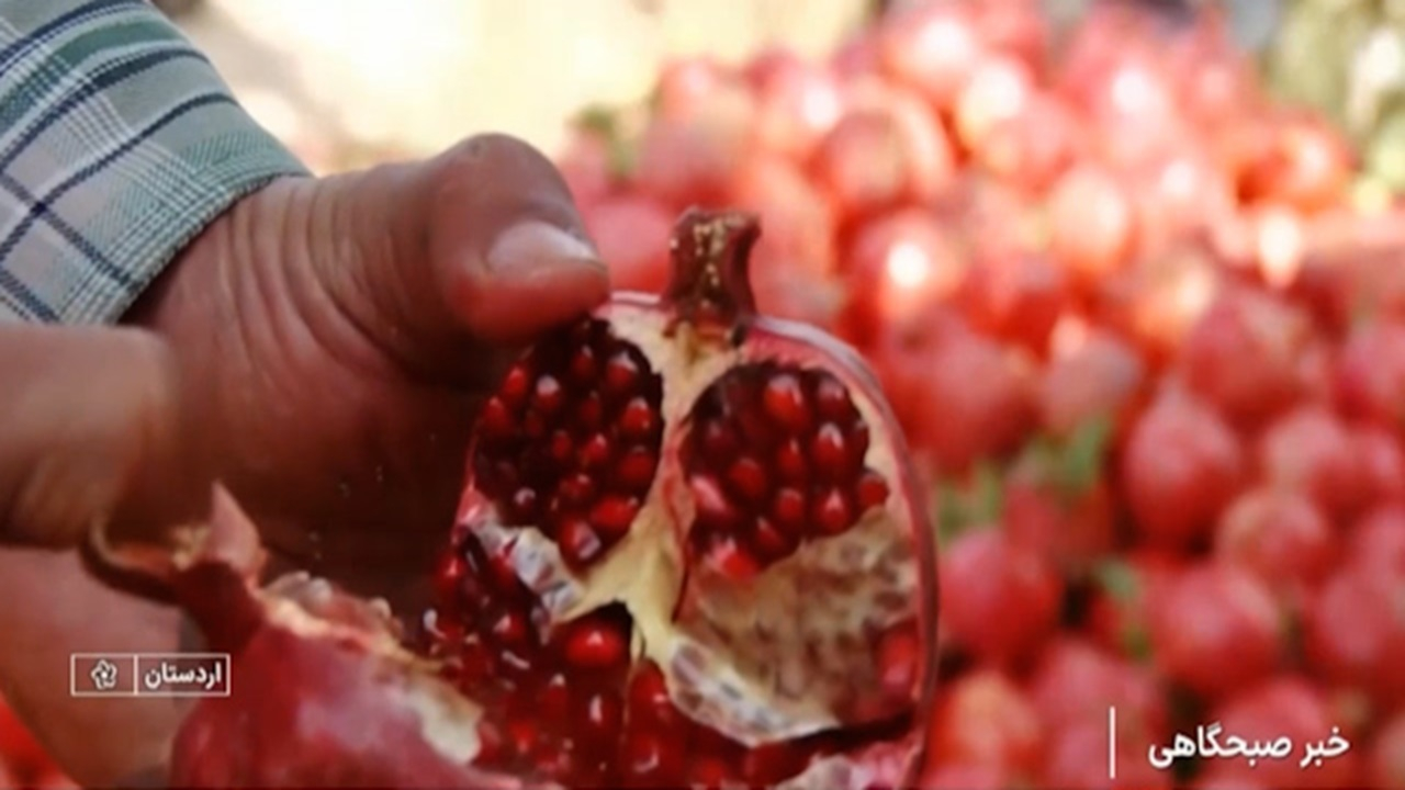 جشنواره انار در اردستان + فیلم
