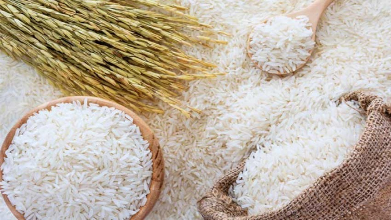 تولید برنج به ۲ میلیون و ۳۰۰ هزار تن میرسد