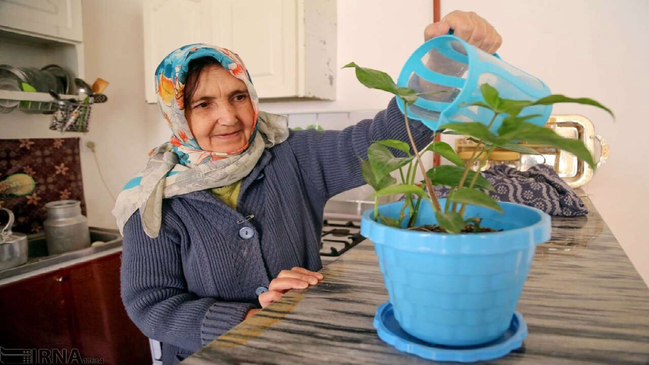سالمندان و تابستان؛ سرگرمیهای سالم، سبک و ایمن