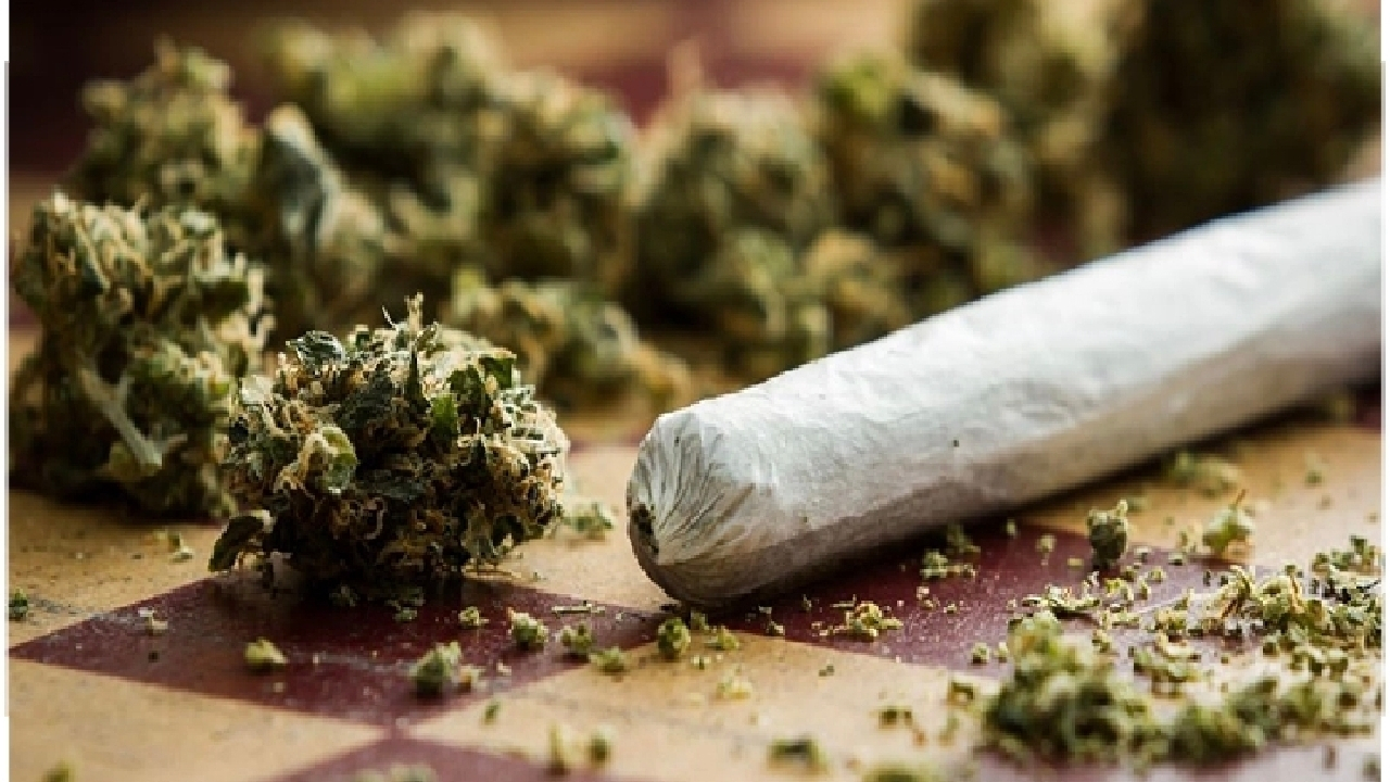 اثرات مخرب «گُل» در ایران از تمام مخدر‌های دیگر بالاتر است