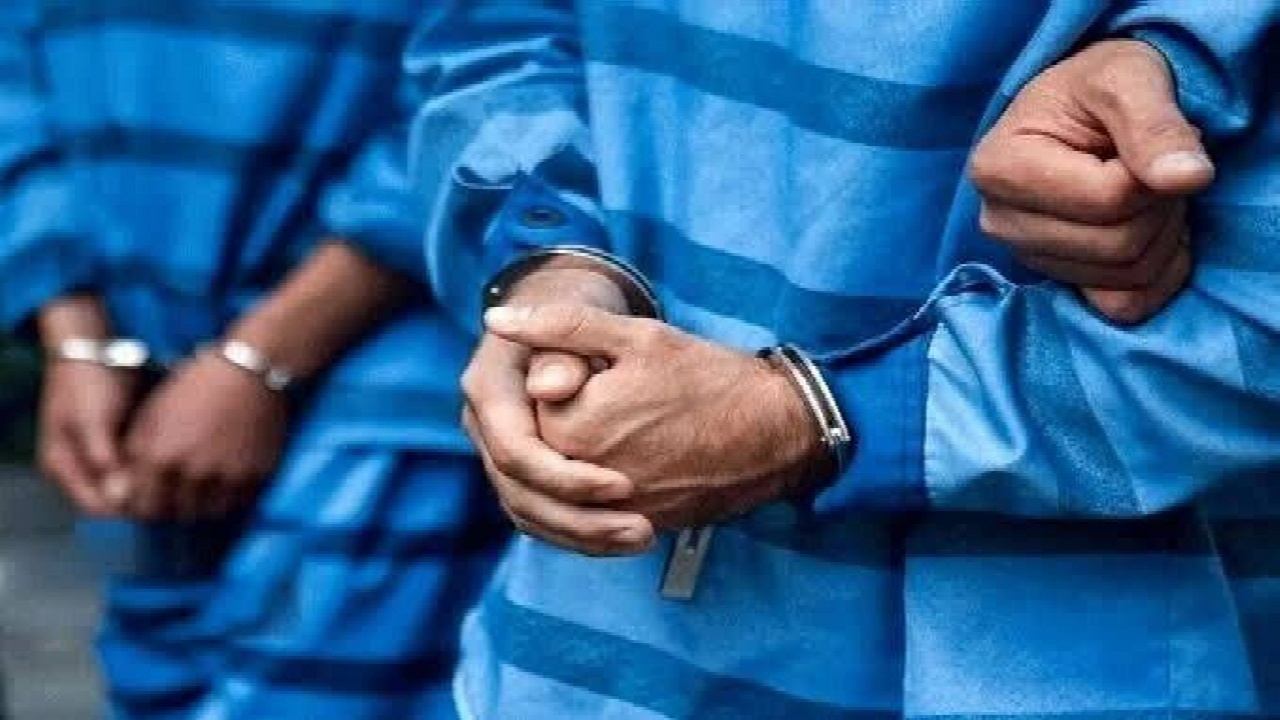 کشف ۲۵۴ کیلوگرم گوشت حیوانات تکسمی در جنوب تهران