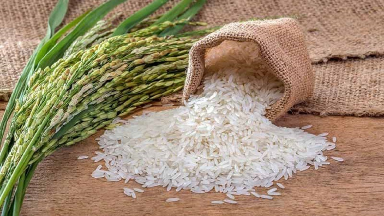 تولید برنج به ۲ میلیون و ۳۰۰ هزار تن می‌رسد