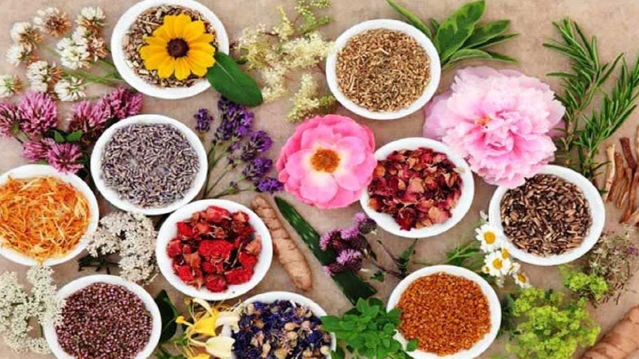 تنوع گیاهی ایران را به قطب صادرات محصولات ارگانیک تبدیل می کند