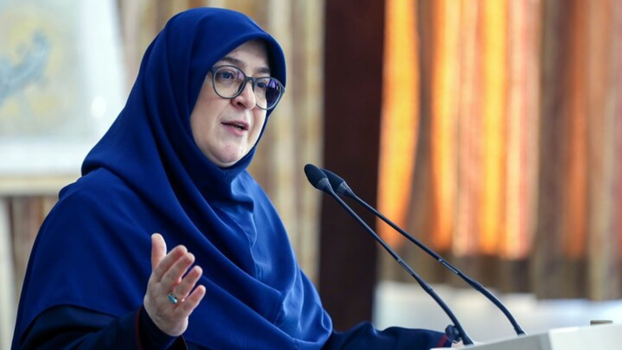 صرفهجویی ۲۰ درصدی؛ کلید عبور از بحران انرژی/ مهاجرانی: زنان نقش محوری در فرهنگسازی دارند
