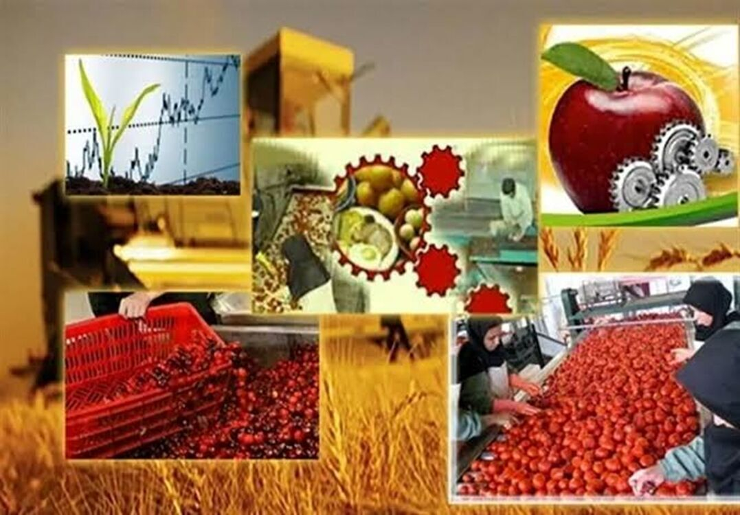 بهره برداری از ۱۹۹ پروژه صنایع تبدیلی و غذایی در هفته دولت
