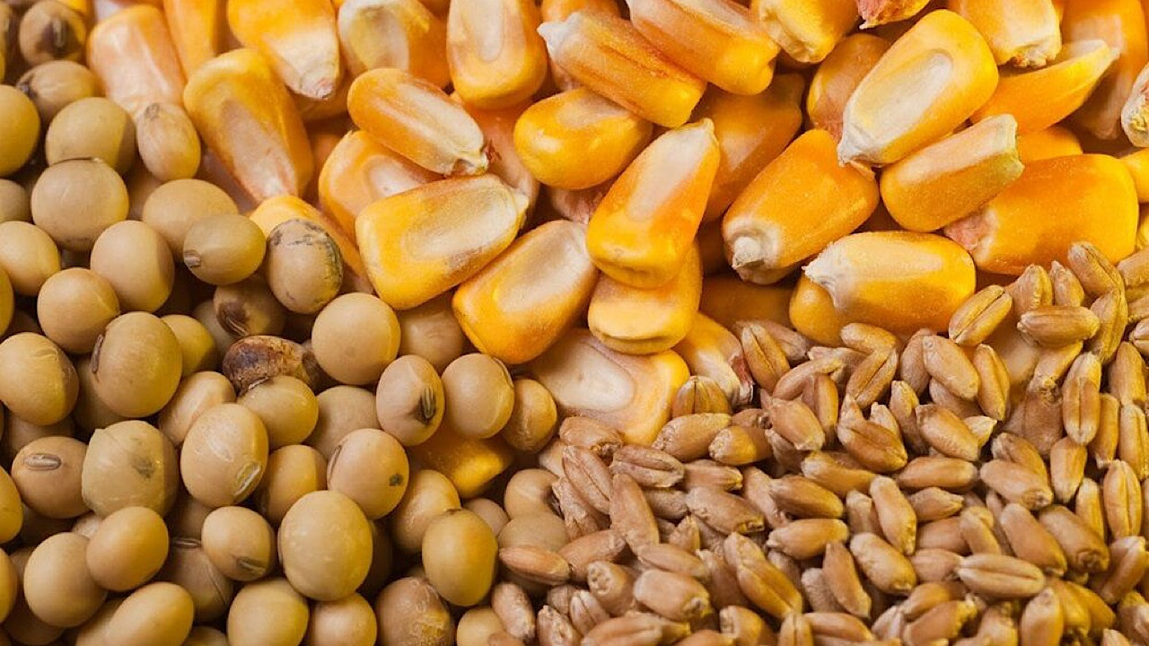 وضعیت مطلوب ذخایر کالاهای اساسی کشور