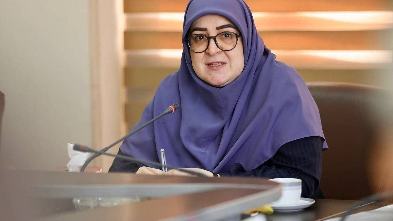 با دستور رئیسجمهور فعالیت پتروشیمی میانکاله متوقف شد