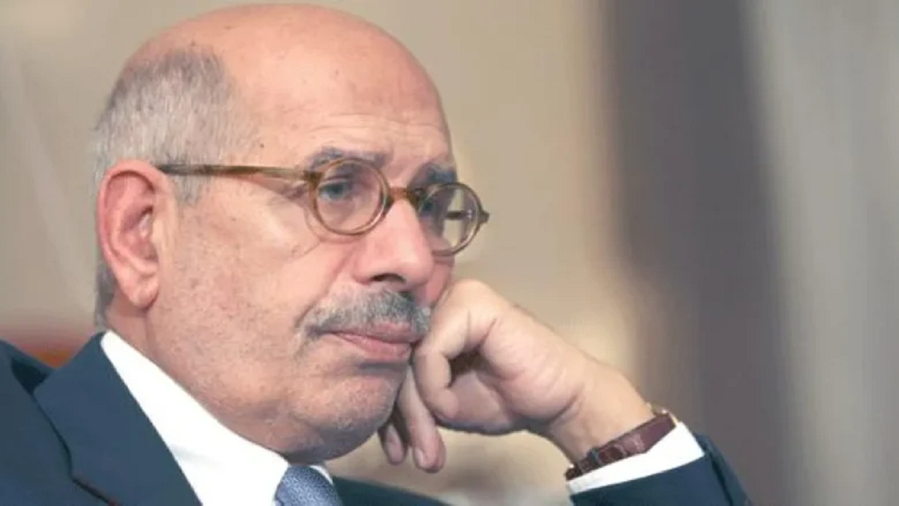 انتقاد البرادعی از سکوت دولتهای عربی در برابر جنایات اسرائیل در غزه