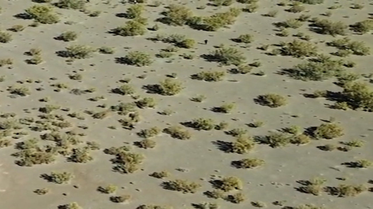 رصد پهپادی اتباع غیرمجاز درحال ورود به کرمان + فیلم