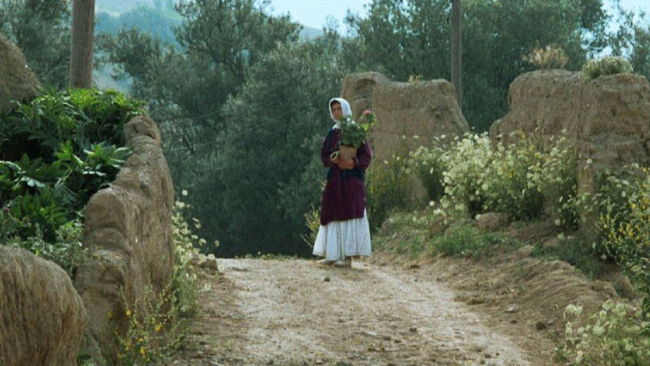 جشنواره جهانی فیلم فجر با نمایش فیلمی از عباس کیارستمی افتتاح میشود