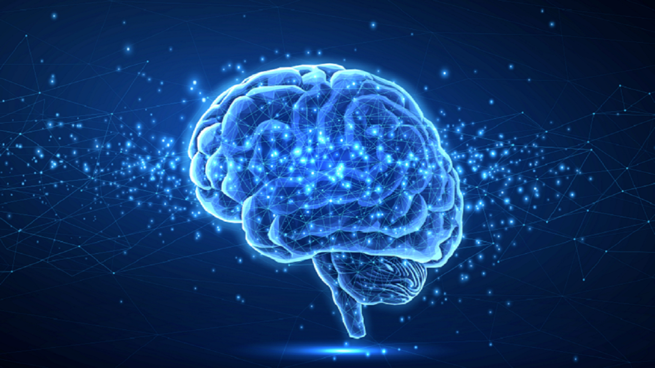 فست فودها مضرترین مواد برای مغز هستند