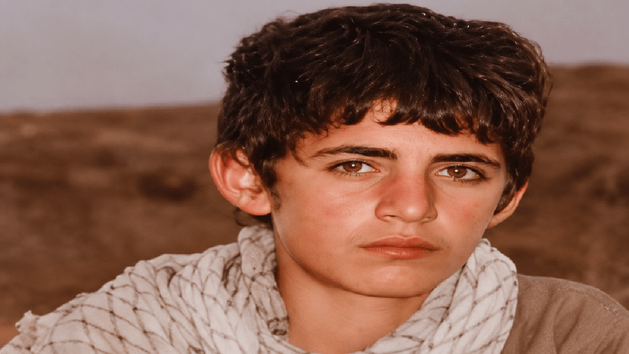 شیر ۱۳سالهای که پیکرش ۹ سال بعد برگشت