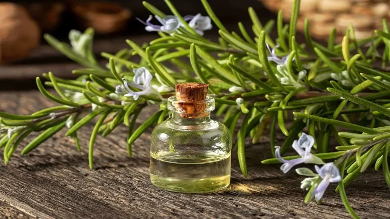 چگونه از روغن رزماری برای موها استفاده کنیم؟