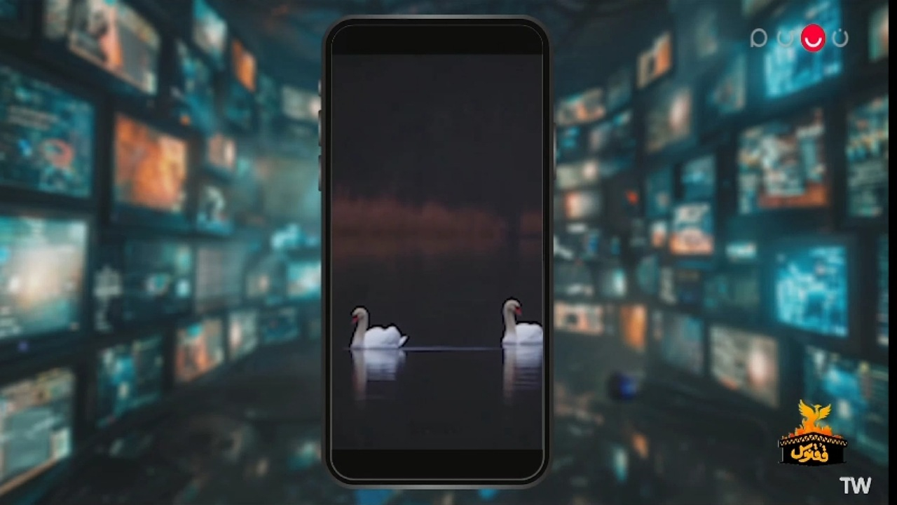 پخش آهنگ مرحوم حبیب در برنامه ققنوس + فیلم