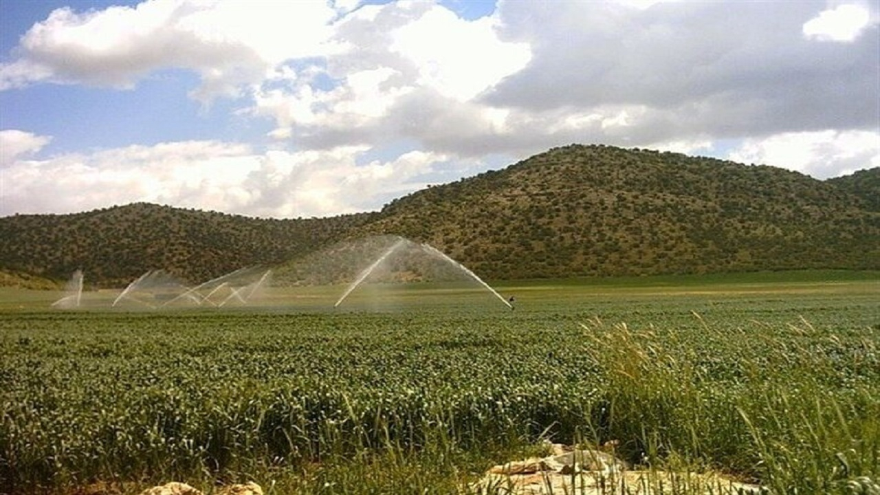 توسعه سامانههای نوین آبیاری مرهمی برای خشکسالی و کم آبی کشور