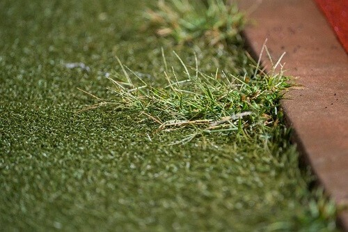 روش های جلوگیری از علف هرز در چمن مصنوعی و نحوه حذف آن