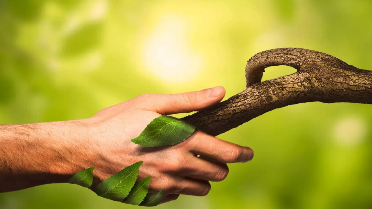 ایران صاحب رتبه دوم همبستگی با طبیعت در دنیا