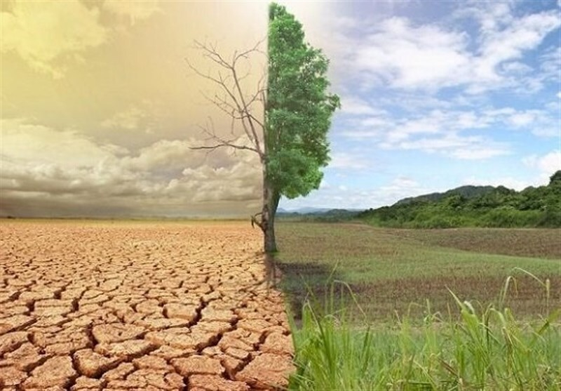 ۵۵ درصد اراضی کشاورزی کمتر از یک درصد ماده آلی خاک دارند+ فیلم