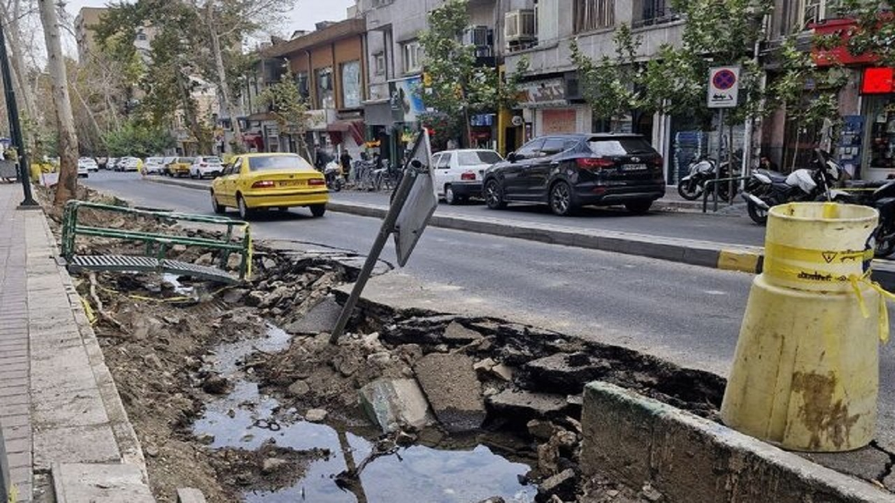 توضیح شهرداری درباره جابهجایی درختان کهنسال خیابان فلسطین