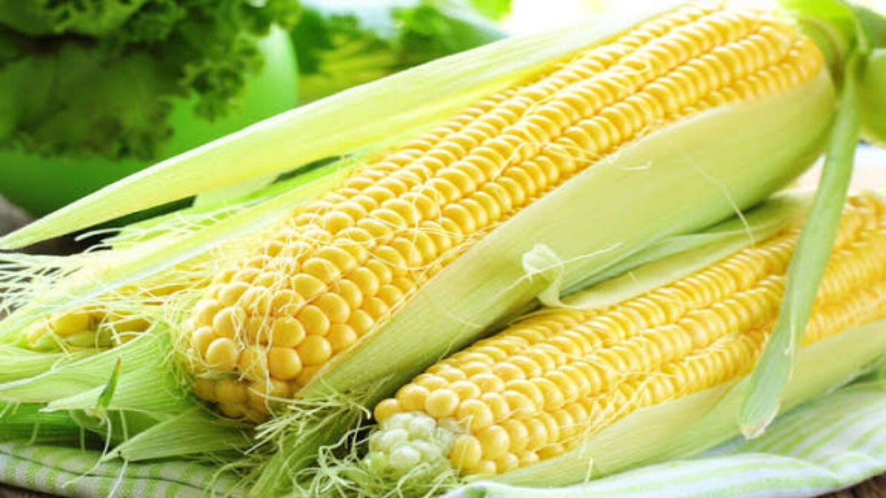 توسعه همکاریهای تجاری طالبان و قزاقستان با تمرکز بر صادرات محصولات کشاورزی