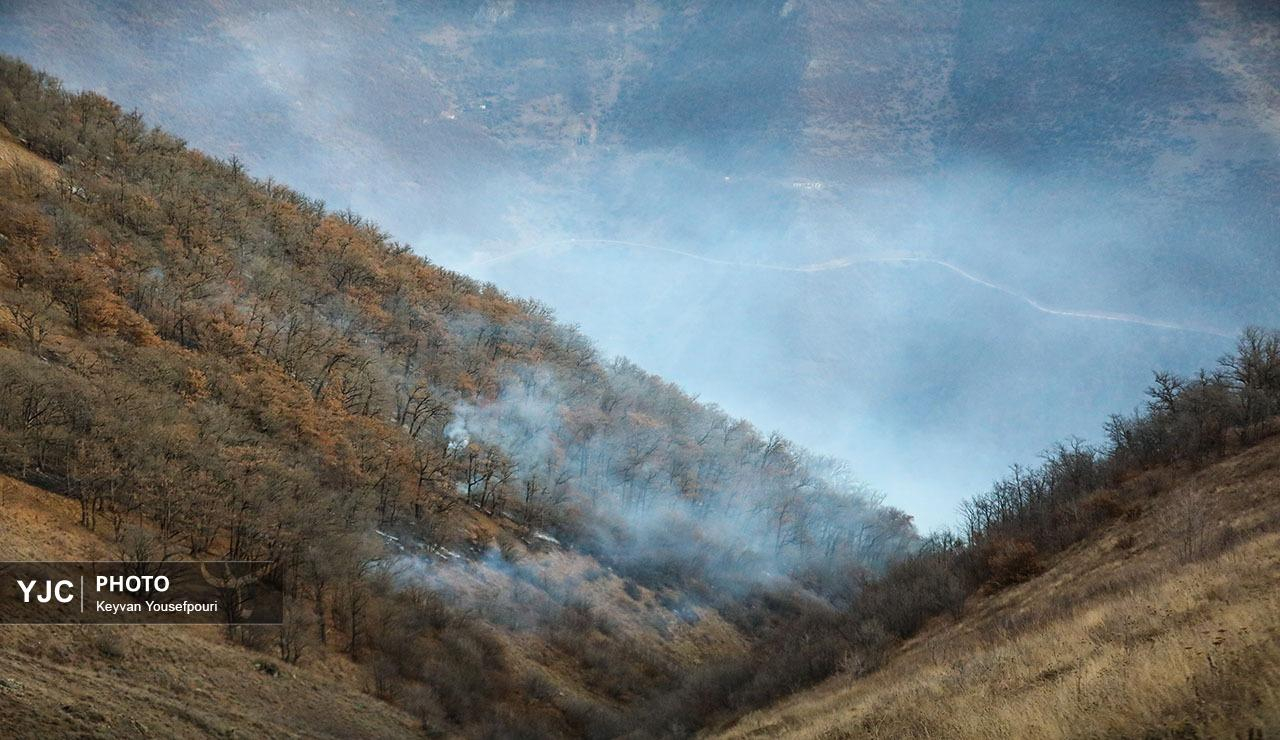 آتش سوزی جنگل‌های هیرکانی الیت