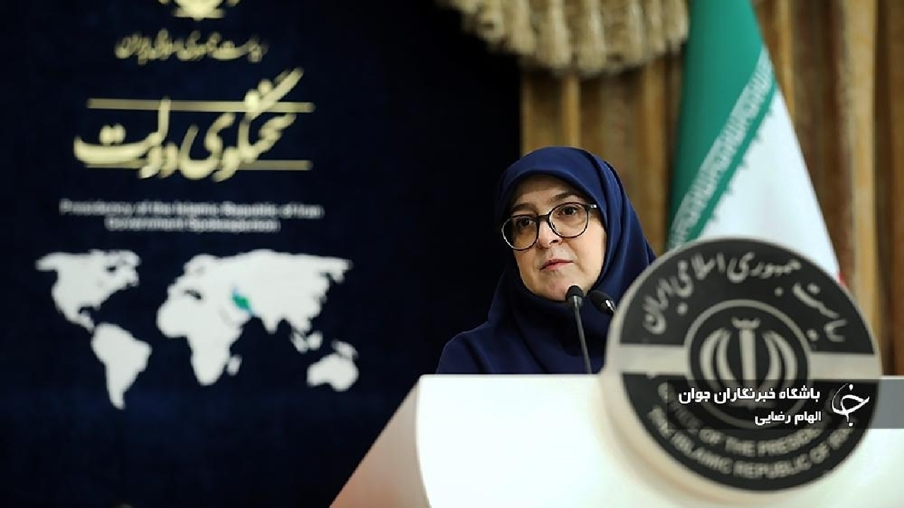 سخنگوی دولت: ناترازی بانکها یکی از دلایل خلق تورم است/ تلاش برای کنترل گرانی و گران فروشی